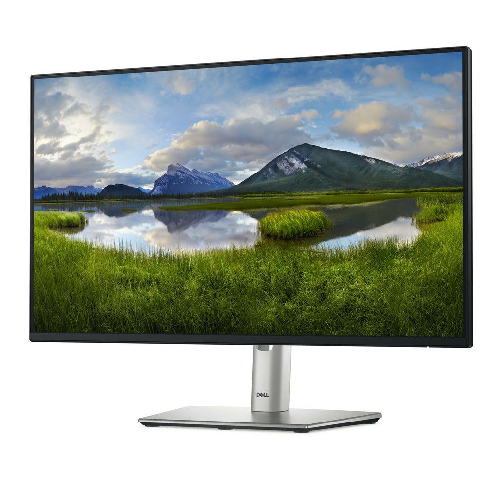 MONITOR P2425HE
