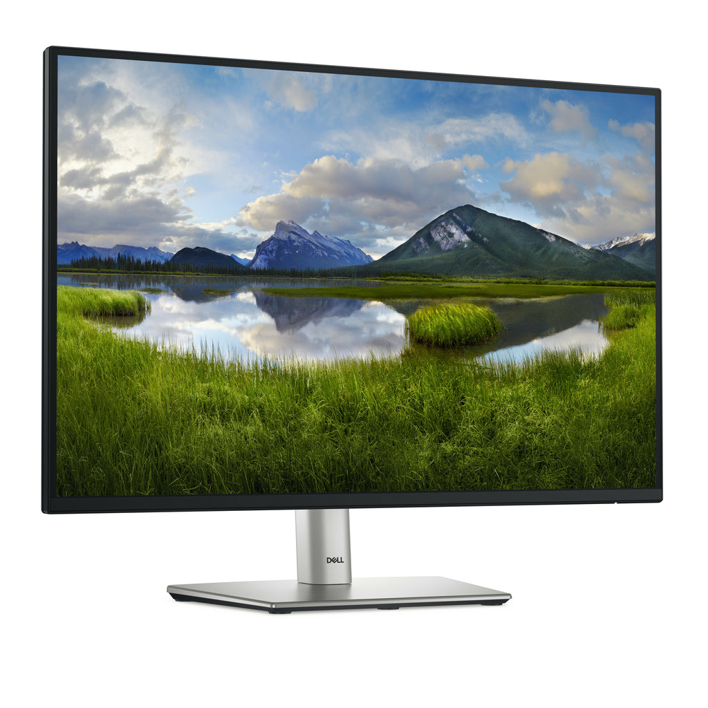 DELL MONITOR P2425E