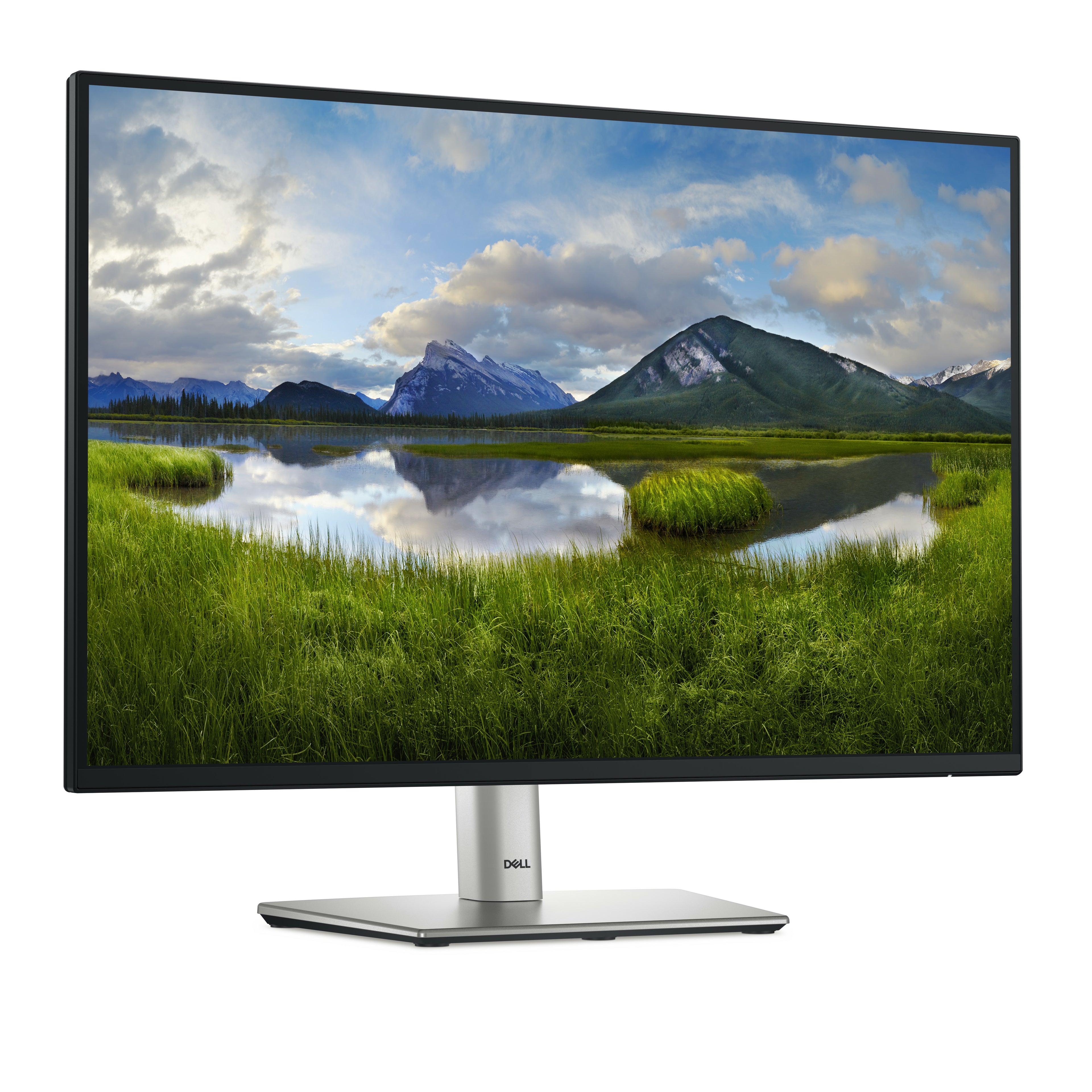 DELL MONITOR P2425E
