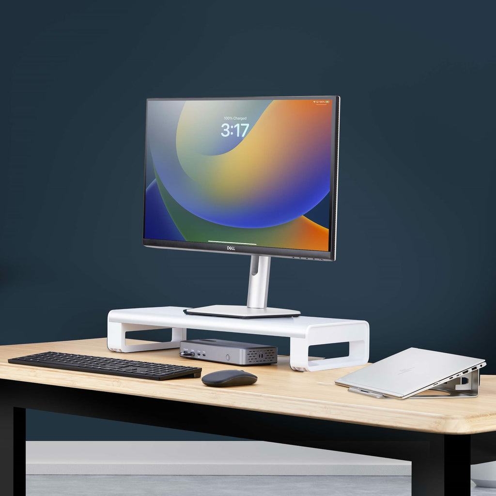 ERGONOMIC MONITOR RISER STAND 33LB MAX