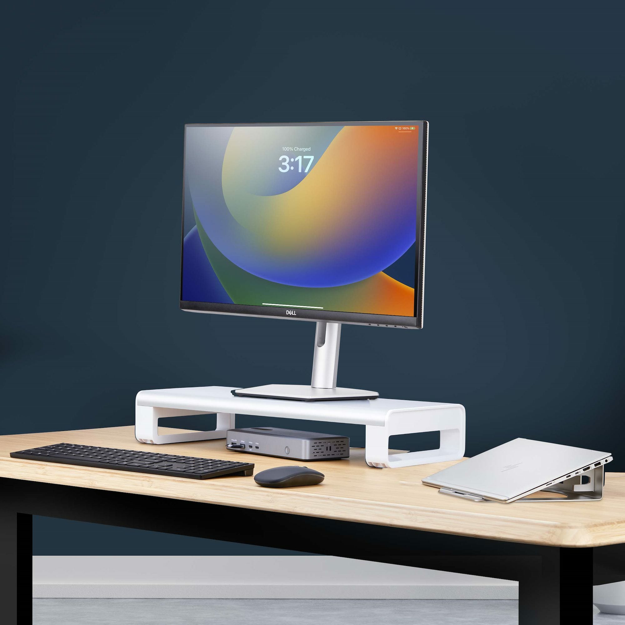 ERGONOMIC MONITOR RISER STAND 33LB MAX
