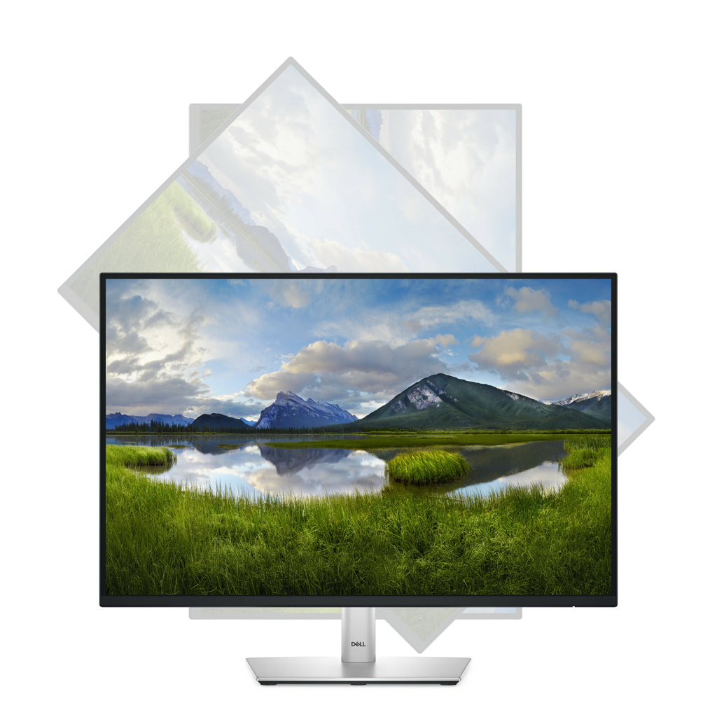 DELL MONITOR P2425E