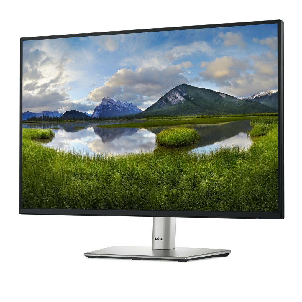 DELL MONITOR P2425E