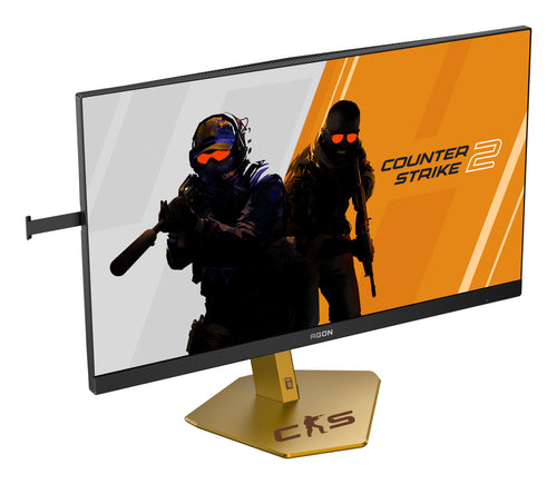 CS24A/P TN FHD 610HZ GAMING MONITOR